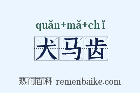 犬马齿是什么意思的图片